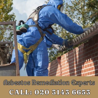 Asbestos Remediation Experts Grove Park