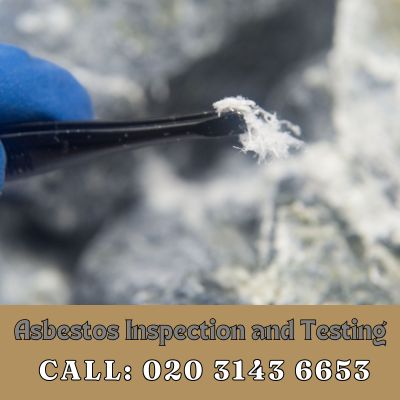 Comprehensive Asbestos Inspection and Testing Services in Grove Park